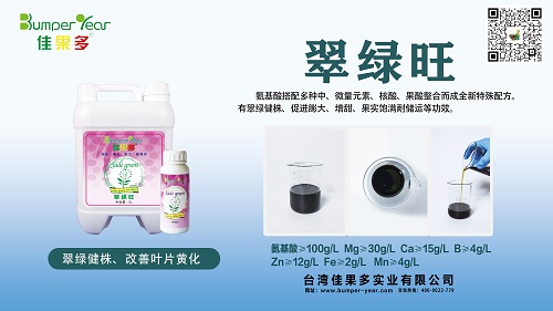 翠绿旺小.jpg