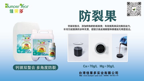 防裂果小.jpg
