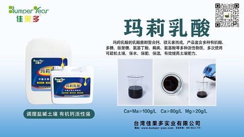 玛丽乳钙小.jpg