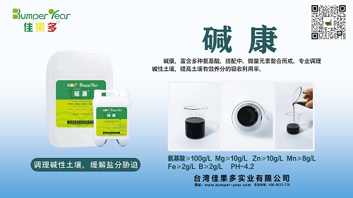 碱康小.jpg