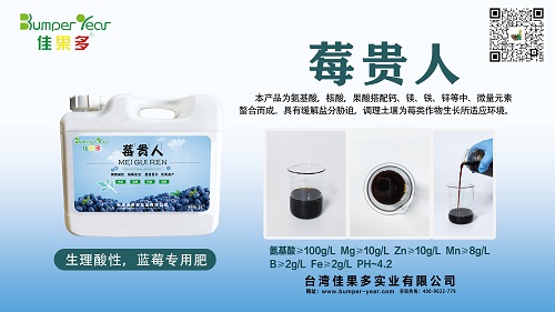 莓贵人小.jpg