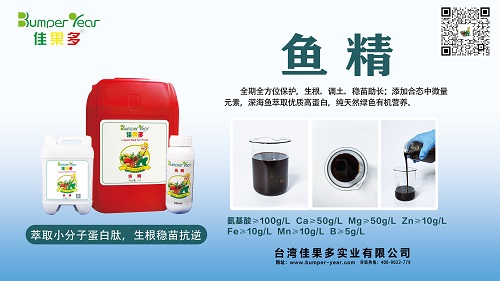 鱼精小.jpg